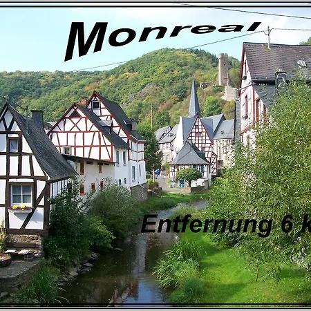 Schaefer * Anschau