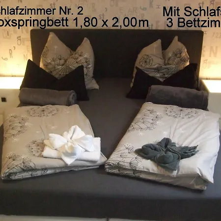 Schaefer * Anschau